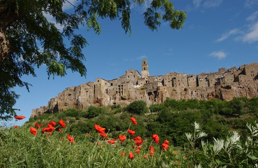 Casa Marta Villa Pitigliano Værelse billede