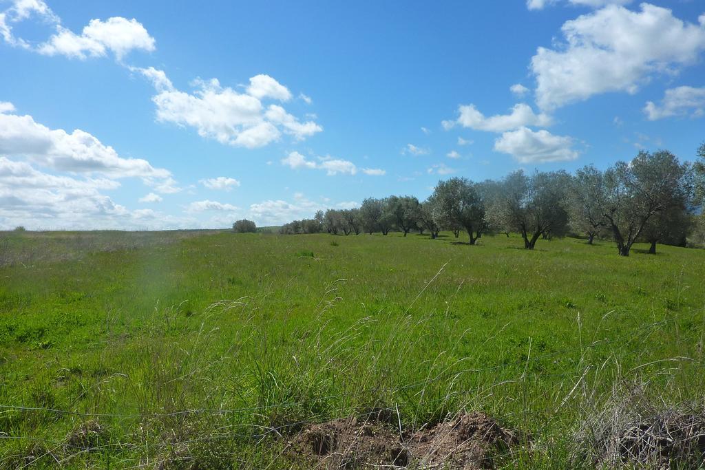 Casa Marta Villa Pitigliano Værelse billede