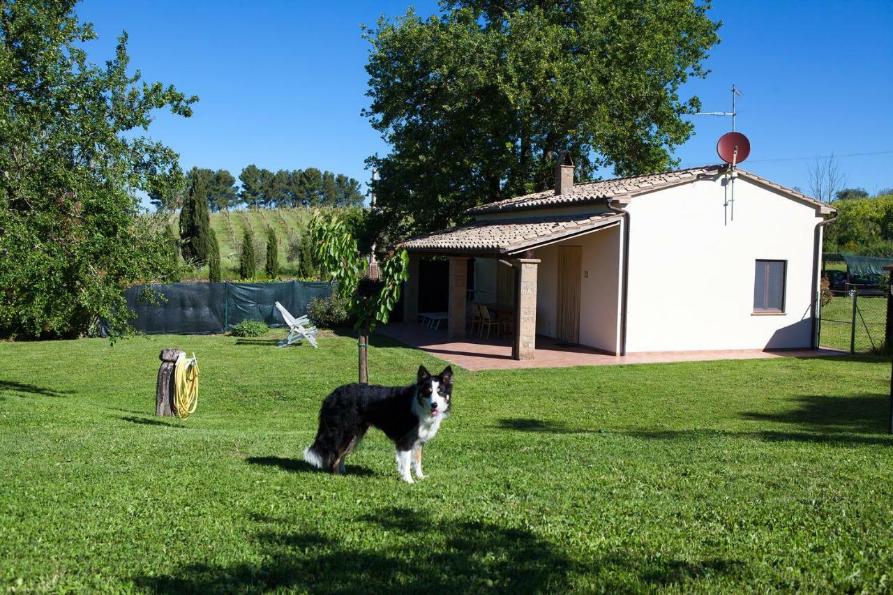 Casa Marta Villa Pitigliano Værelse billede